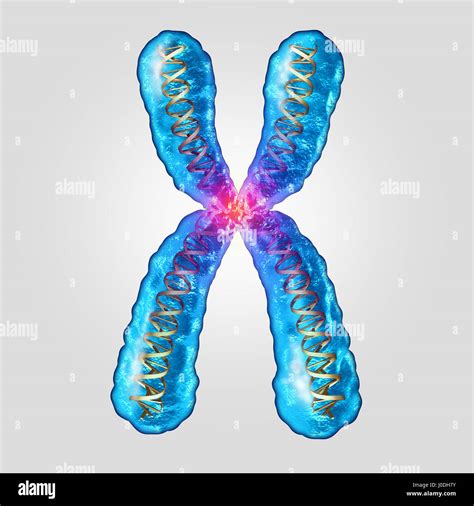 Concepto De Adn Genético Del Cromosoma Como Una Molécula Microscópica