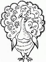Peacock Coloring Pages Coloring2print sketch template