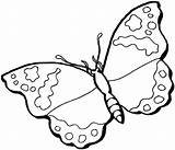 Farfalle Admiral Schmetterling Malvorlage Farfalla Stampare Supercoloring sketch template