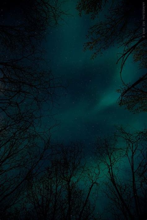 northern lights on tumblr
