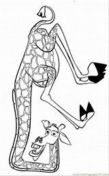 Madagascar Melman Coloring Pages Giraffe Printable Drawing Cartoons Gloria Alex Easy Cartoon Marty Crafts Drawings Categories Comments Silhouettes Hippopotamus sketch template