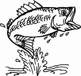 Coloring Pages Fishing Fish Bass Trout Color Printable Outline Boat Lure Kids Print School Online Drawing Epic Getdrawings Getcolorings Adult sketch template
