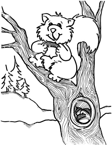 animal coloring sheets janices daycare