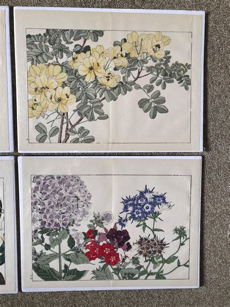 Japanese Four Fine Woodblock Flower Prints Vibrant Colors