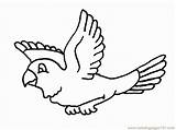 Flying Birds Coloring Pages Library Clipart sketch template