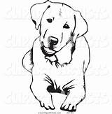 Labrador Retriever Chien Hond Hund Kleurplaat Hunde Tattoo Tegninger Perro Cachorro Curious Flotte Honden Tekenen Tegning Pitbull Labradores Malvorlagen Enkel sketch template