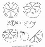 Grapefruit Slices Citrus Oranges Wedge sketch template