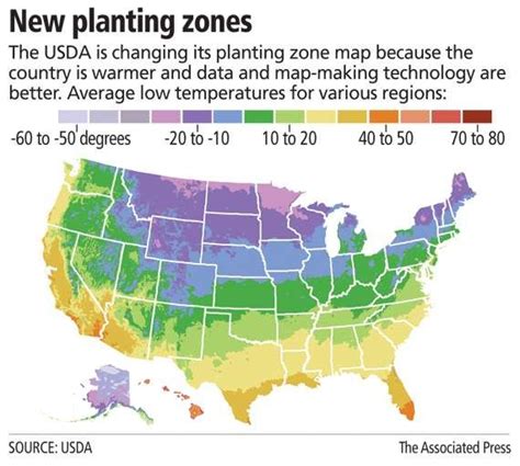 fig tree growing zones map middle east map