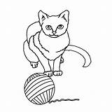 Katten Kleurplaten Poes Leuk sketch template