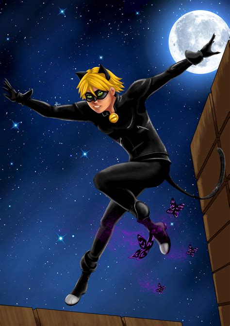 cat noir ladybug  axelni  deviantart