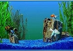 Image result for Vista Screensaver Fish Tank. Size: 147 x 104. Source: download-screensavers.biz