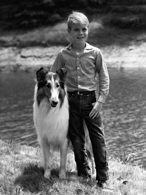 File Jon Provost Lassie 1961  Wikimedia Commons