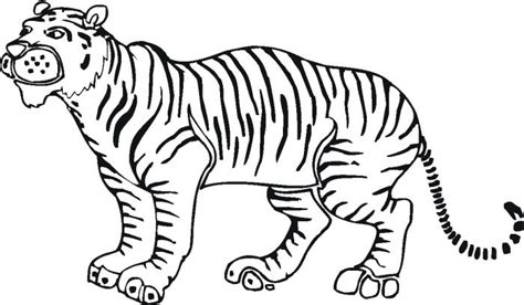 tiger outline az coloring pages clipart  clipart