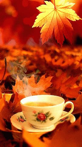 good morning autumn coffee pictures   images  facebook tumblr pinterest  twitter