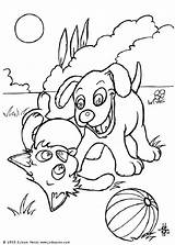 Cachorro Perros Coloriage Katze Hund Ausmalen Jouent Gatos Brincando Pintar Colorier Perritos Cachorros Coloriages Ausmalbilder Hellokids Animaux sketch template