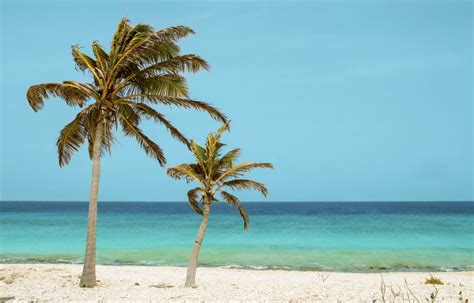 zonnige vakantie naar curacao  dagen va