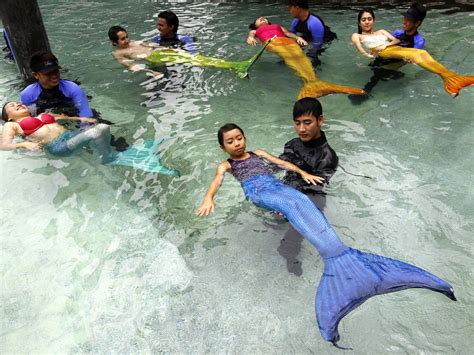 summer mermaid swim experience in manila images news