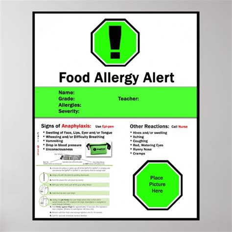 food allergy poster  school zazzlecom