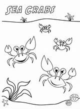 Crab Crabe Crabes Coloriages Imprimer Animaux Primaire sketch template