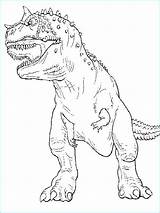 Carnivore Dinosaure Rex sketch template