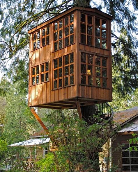 tree houses  architecture   heights