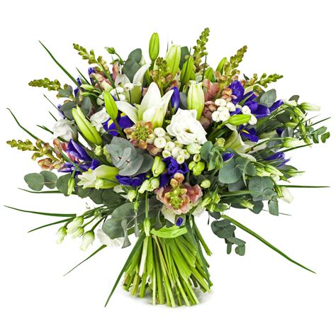fris wit paars boeket met mooi groen flowers insight