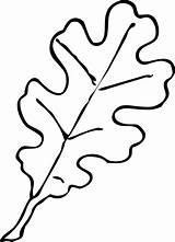 Oak Leaf Printable Stencil Cliparts Coloring Computer Designs Use Pages sketch template