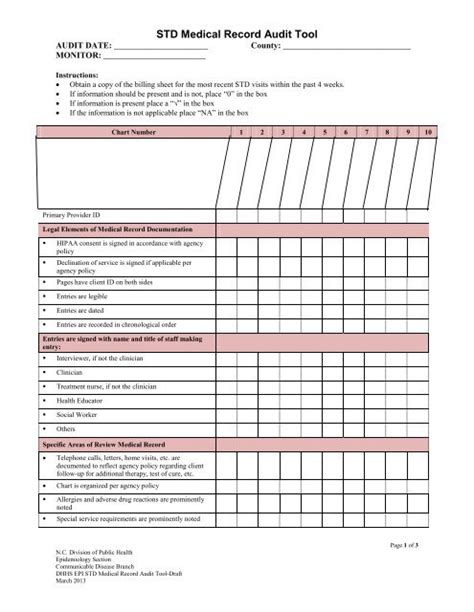 nursing chart audit tool template
