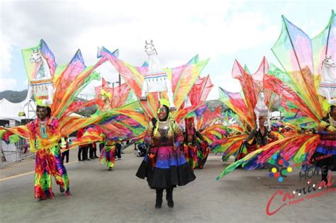 photo gallery senior parade   bands carnival tuesday