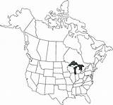 Map Coloring North America Canada Pages Usa Vietnam Colouring United States Drawing Outline Getdrawings Getcolorings Development Printable Color Colorings sketch template