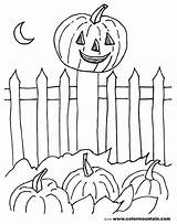 Pumpkin Great Coloring Pages Getdrawings Getcolorings sketch template