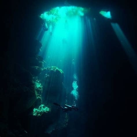 The Pit Cenote Mexico 2021 El Pit Tulum • Best Cenote Dives