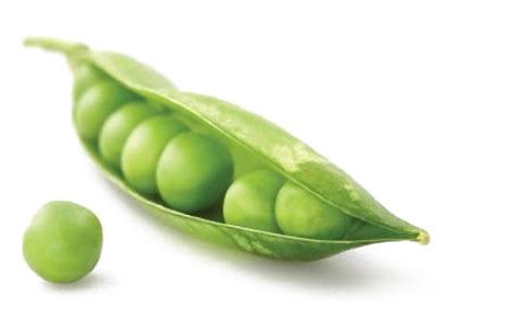 pea png transparent images pictures  png arts