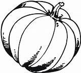 Pumpkin Coloring Pages Drawing Kids Printable Outline Blank Fall Template Patch Scary Gourd Pumpkins Color Print Benefits Drawings Clipartmag Getdrawings sketch template
