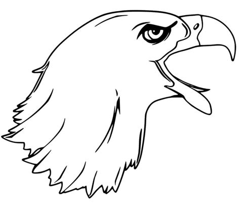 bald eagle coloring page  printable coloring pages  kids