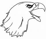 Bald Calva Aguila Cabeza águila Flying sketch template