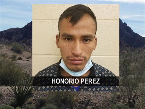 border patrol arrests sex offender and illegal immigrant