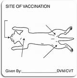 Feline Vaccination Smartpractice Clinical Labels sketch template