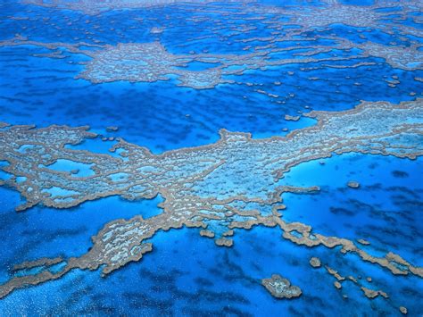 tourism  great barrier reef australia