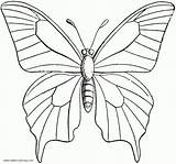 Butterfly Coloring Pages Clipart Kids Printable Color Print sketch template