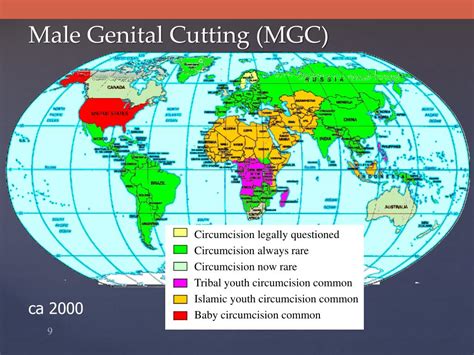 Ppt Discussing Circumcision An Elephant In The Hospital