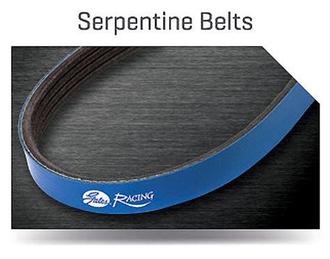 gates racing serpentine belts boe fabrication