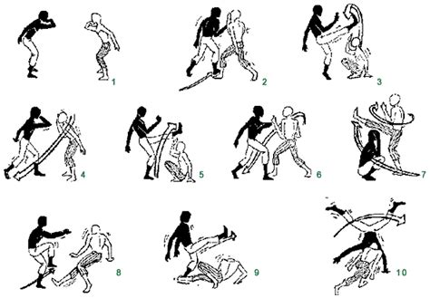 capoeira moves humboldt unbound pinterest capoeira martial