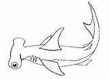 Tiburon Rechin Colorear Martillo Dibujos Colorat Pez Shark Desene Hammerhead Planse Tiburón Marinos Imagini Pesti Rechinul Imaginea sketch template