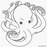 Octopus Krake Octupus Ausmalbild Sharepoint Swiss Ausdrucken Malvorlagen Kostenlos Cool2bkids sketch template