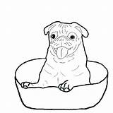 Pug Coloring Pages Pugs Baby Dog Bowl Color Puppies Inside Happy Print Printable Outline Dogs Drawing Boxer Getcolorings Outlines Colorluna sketch template