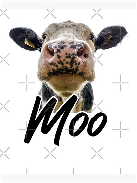 Funny Moo Cow Dairy Cow Appreciation Saying Moo Poster For