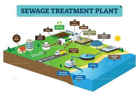 sewage treatment plan infographic vector illustration vectormine