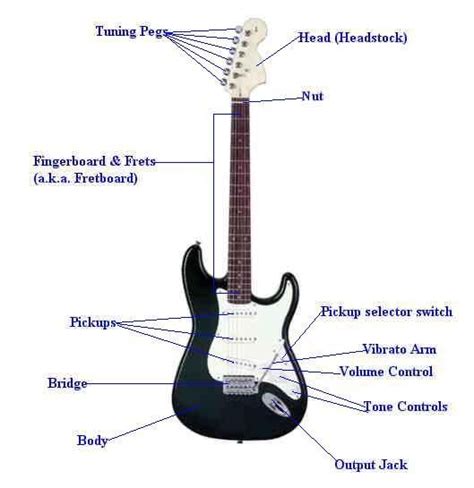 diagram shows    parts   guitar  change   sounds