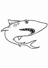Haaien Kleurplaten Haai Requin Kleurplaat Coloriage Haie Ausmalbilder Animaatjes Nage Hugolescargot Plongeur Duiker Mandala Bron Tigre Malvorlagen1001 Imprimer sketch template
